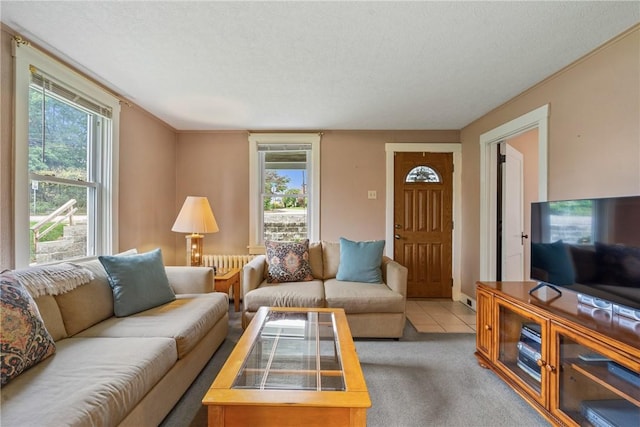 carpeted living room featuring a healthy amount of sunlight and a textured ceiling