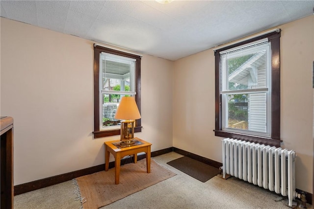 sitting room featuring carpet flooring, a wealth of natural light, and radiator