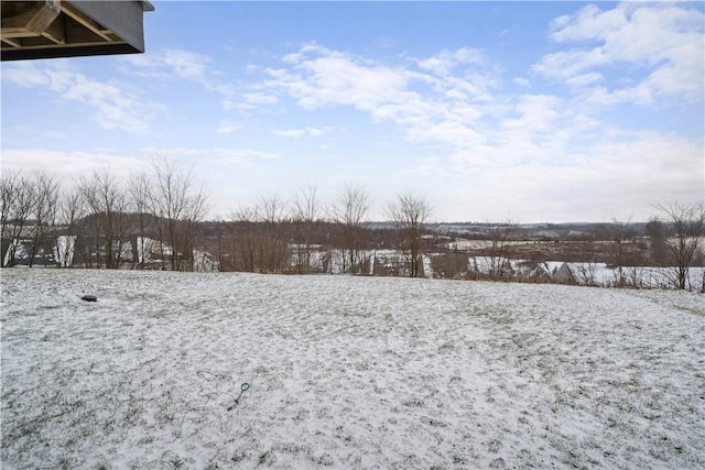 view of yard covered in snow