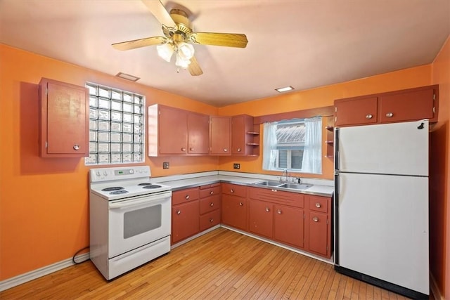 kitchen featuring ceiling fan, light hardwood / wood-style floors, white appliances, and sink