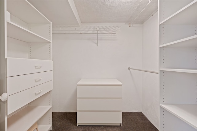 walk in closet featuring dark colored carpet