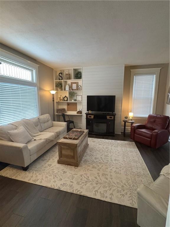 living room with wood-type flooring