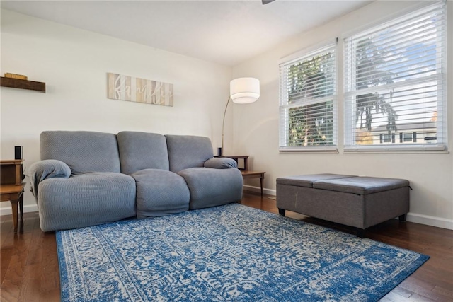 living room with dark hardwood / wood-style flooring