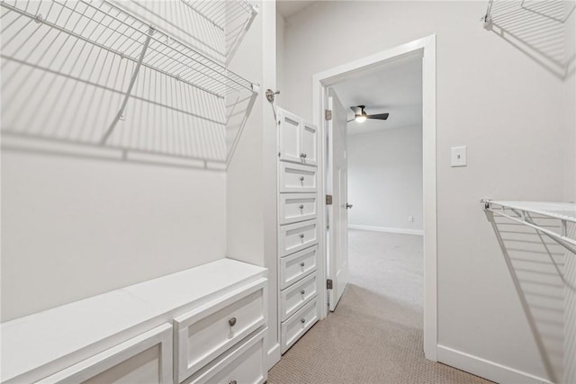 walk in closet featuring light carpet and ceiling fan