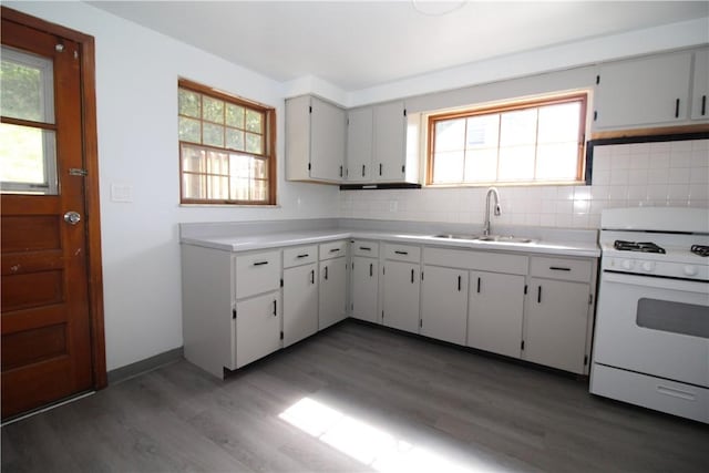 kitchen featuring dark hardwood / wood-style floors, white range oven, sink, and tasteful backsplash