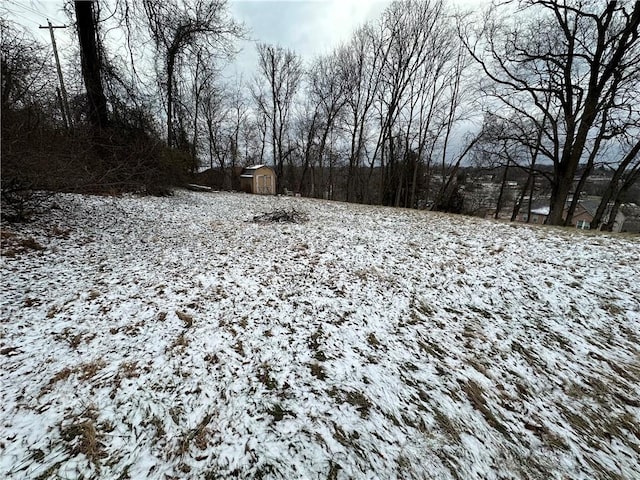 yard layered in snow featuring a shed