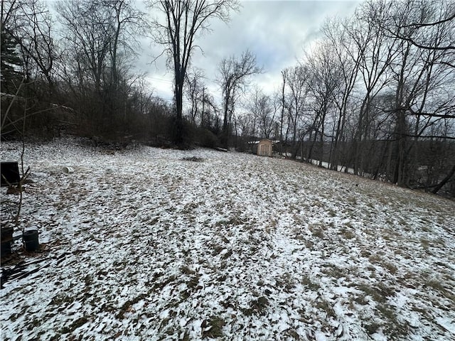 snowy yard featuring a storage unit