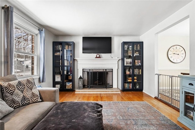 living room with light hardwood / wood-style floors