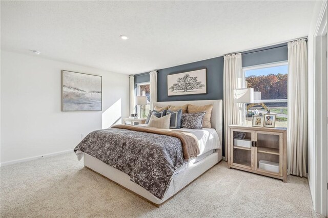 bedroom with carpet floors