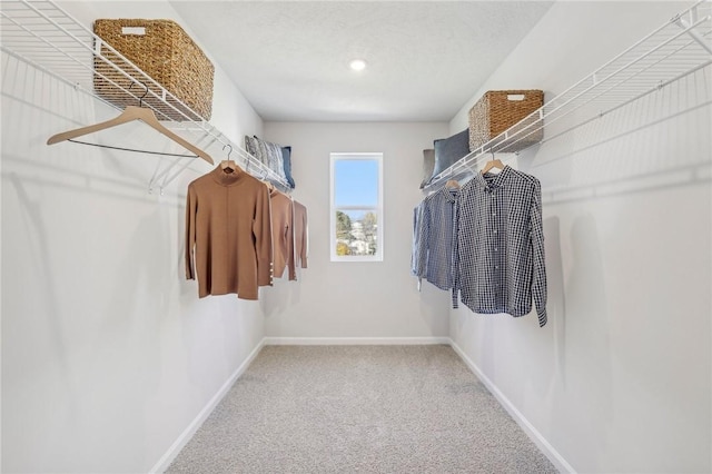 walk in closet featuring carpet floors