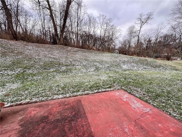 view of yard featuring a patio