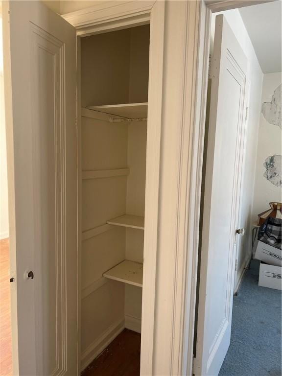 view of closet