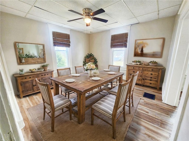 dining space with light hardwood / wood-style floors, a drop ceiling, and ceiling fan