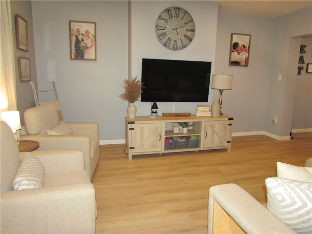 living room with light hardwood / wood-style flooring