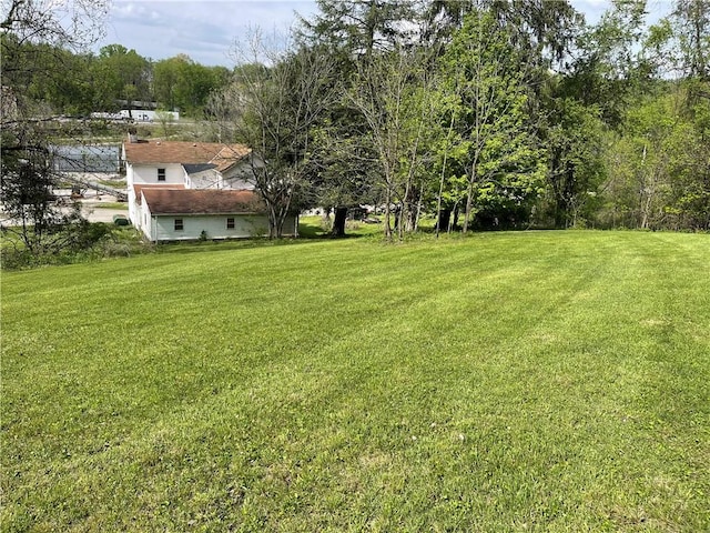 view of green lawn