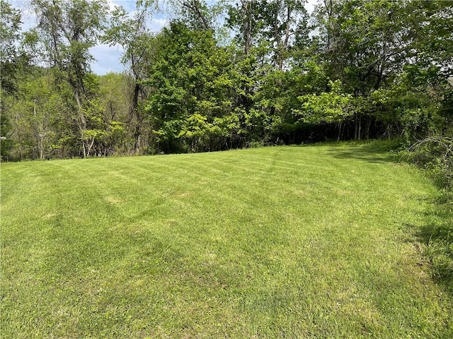 view of grassy yard