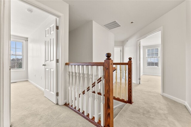 hallway with light carpet and a wealth of natural light