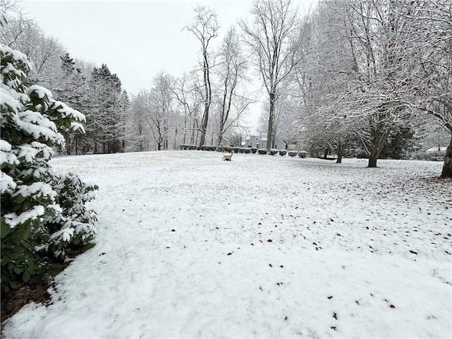 view of yard covered in snow