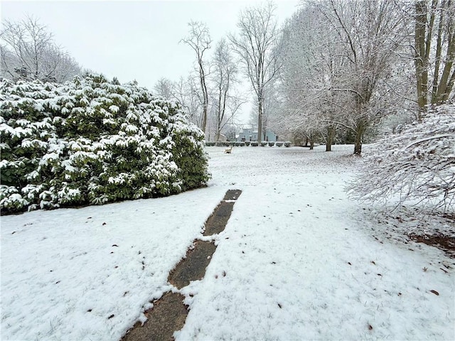 view of yard layered in snow