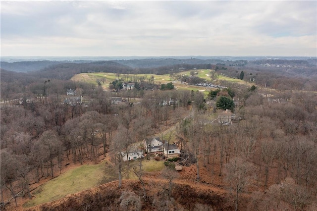 aerial view with a rural view