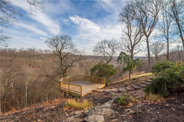 view of yard featuring a deck