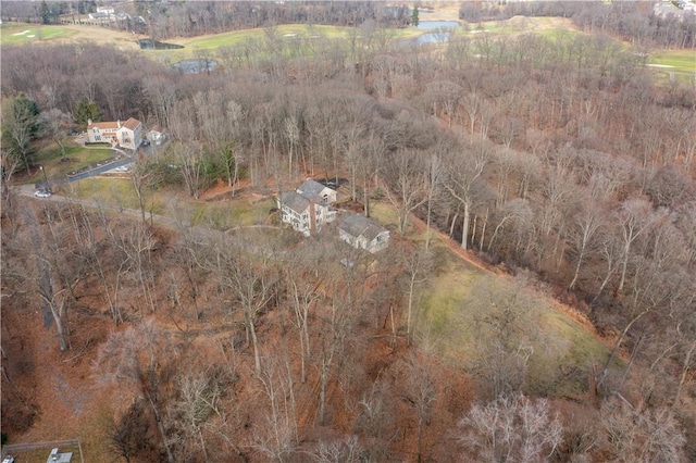 drone / aerial view featuring a rural view