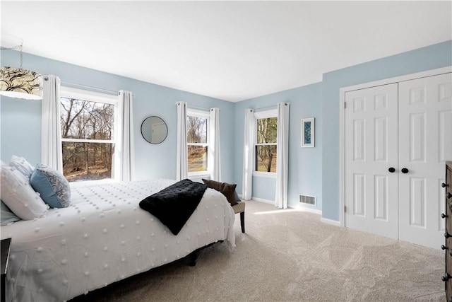 bedroom featuring carpet and a closet