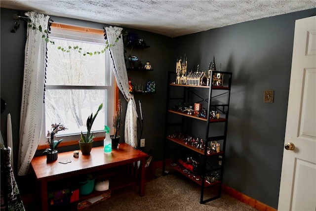 office featuring carpet flooring and a textured ceiling