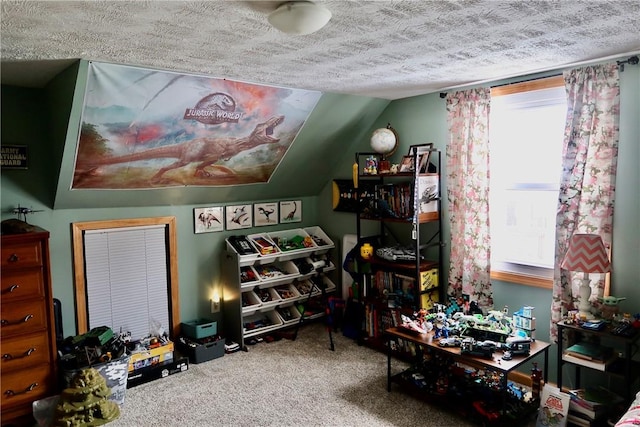 miscellaneous room with carpet flooring, a textured ceiling, and lofted ceiling