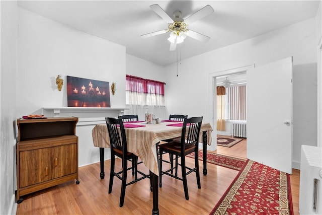 dining room featuring ceiling fan, light wood-type flooring, and radiator heating unit