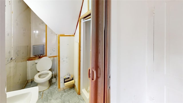 bathroom with toilet, lofted ceiling, and sink