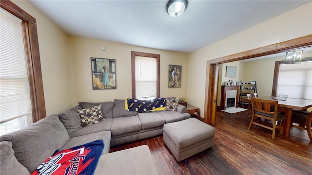 living room with dark hardwood / wood-style flooring