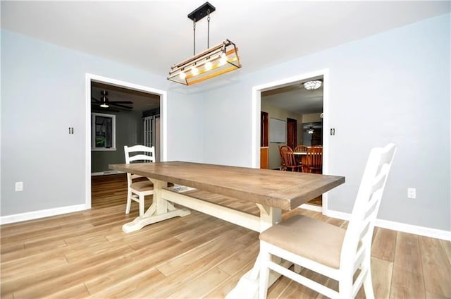 dining room featuring hardwood / wood-style floors and ceiling fan