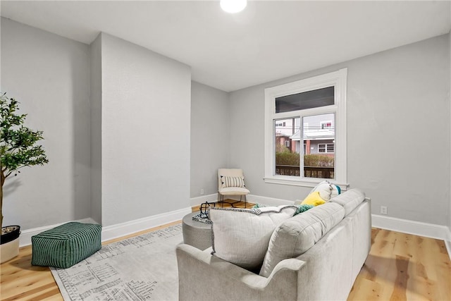 living room featuring wood-type flooring