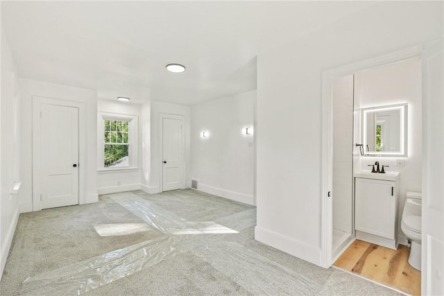 empty room featuring light colored carpet and sink