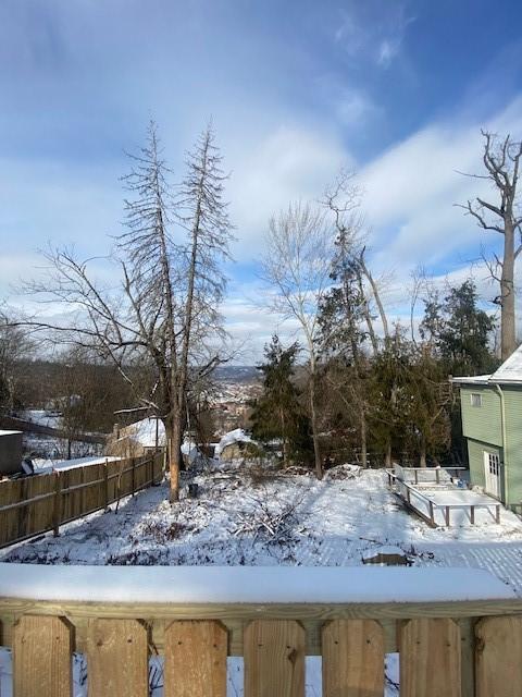 view of snowy yard