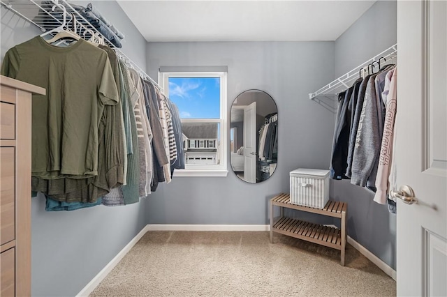 spacious closet featuring carpet flooring