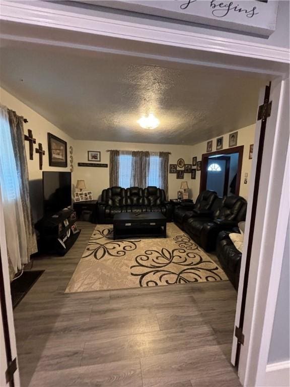 living room with wood-type flooring and a textured ceiling