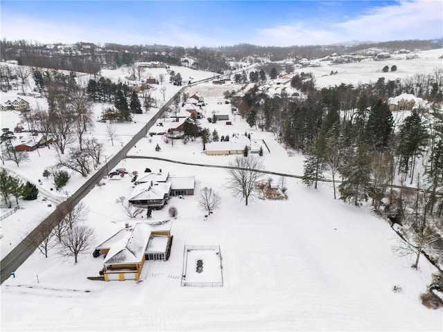 view of snowy aerial view