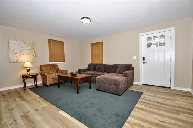 living room featuring light hardwood / wood-style flooring