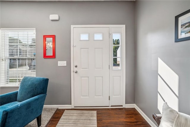 entrance foyer featuring plenty of natural light and dark hardwood / wood-style floors