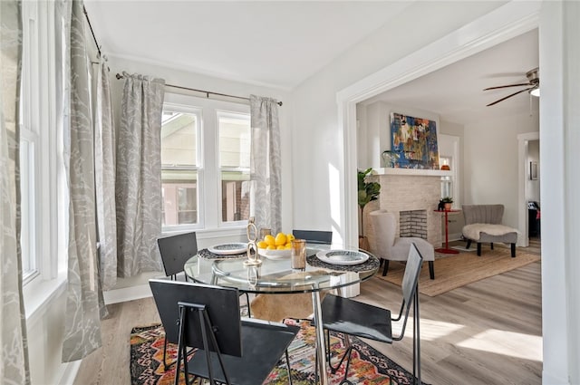 dining area featuring ceiling fan, a healthy amount of sunlight, and light wood-type flooring