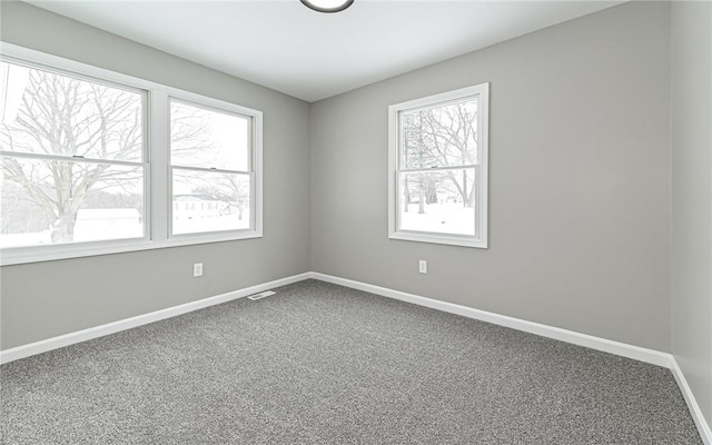 spare room with carpet floors and a healthy amount of sunlight