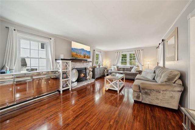 living room with a barn door and dark wood-type flooring