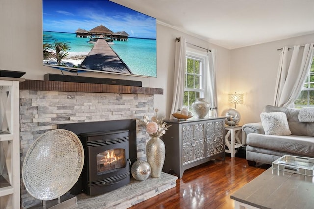 living room featuring dark hardwood / wood-style floors and a wood stove