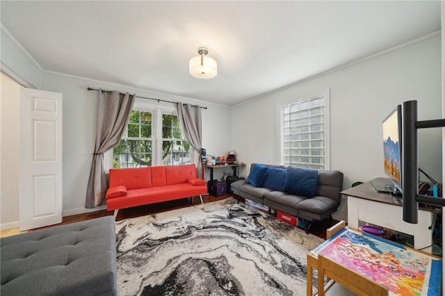 living room featuring hardwood / wood-style floors and ornamental molding