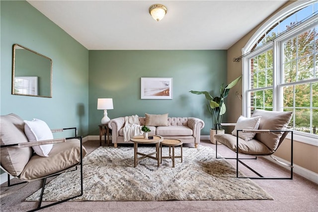 living room with carpet flooring and a healthy amount of sunlight