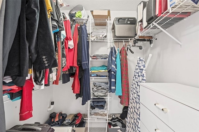 view of spacious closet