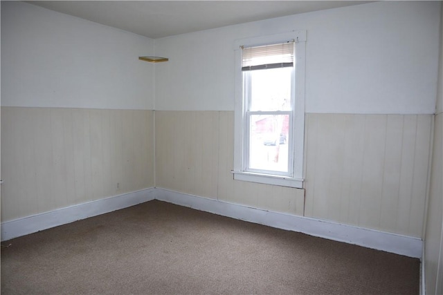 carpeted empty room with wooden walls and plenty of natural light