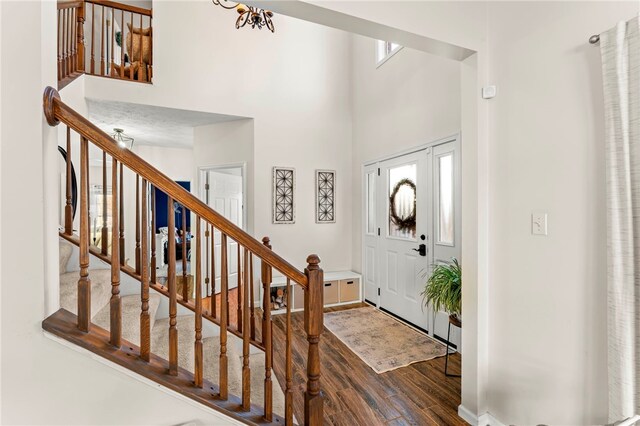 foyer entrance with dark hardwood / wood-style flooring and a high ceiling